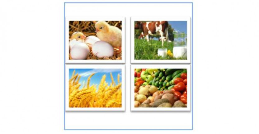 Производство основных видов продукции животноводства в сельскохозяйственных организациях за январь-февраль 2020 года